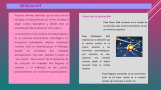 SENSACIÓN
Proceso nervioso aferente que se inicia en un
receptor, se transmite por un nervio sensitivo a
algún centro subcortical y desde éste se
extiende por fibras aferentes del cerebro.
La sensación como pre-fase de la percepción,
es un proceso enteramente neurológico: los
receptores estimulados originan respuestas
motoras. Esto es esencial para el Fisiólogo,
puede ser estudiado por métodos
extrospectivos; más aún, cuando e sujeto se
“da cuenta”, tiene noción de la existencia de
los procesos; los impulsos han llegado al
cerebro y el individuo se da cuenta,
produciéndose una “consciencia perceptiva”.
Fases de la Sensación
Fase Física: Está constituida por la emisión de
un estímulo ya sea por el mundo exterior, ya sea
por el mismo organismo.
Fase Fisiológica: Está
originada por la alteración que
el estímulo produce en el
órgano sensorial y los
fenómenos neurofisiológicos,
que derivados de ella,
producen una corriente
nerviosa desde el órgano
sensorial hasta la corteza
cerebral.
Fase Psíquica: Constituida por el conocimiento
como tal (el darse cuenta) de la cualidad
sentida, ya sea el color, el sonido, etc.
 