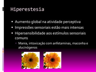 Hiperestesia

 Aumento global na atividade perceptiva
 Impressões sensoriais estão mais intensas
 Hipersensibilidade aos estímulos sensoriais
  comuns
   Mania, intoxicação com anfetaminas, maconha e
    alucinógenos
 