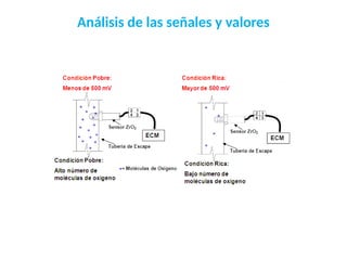 Análisis de las señales y valores
 