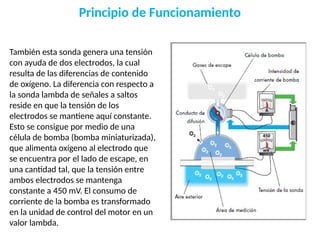 Principio de Funcionamiento
También esta sonda genera una tensión
con ayuda de dos electrodos, la cual
resulta de las diferencias de contenido
de oxígeno. La diferencia con respecto a
la sonda lambda de señales a saltos
reside en que la tensión de los
electrodos se mantiene aquí constante.
Esto se consigue por medio de una
célula de bomba (bomba miniaturizada),
que alimenta oxígeno al electrodo que
se encuentra por el lado de escape, en
una cantidad tal, que la tensión entre
ambos electrodos se mantenga
constante a 450 mV. El consumo de
corriente de la bomba es transformado
en la unidad de control del motor en un
valor lambda.
 