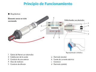 Principio de Funcionamiento
 