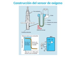 Construcción del sensor de oxigeno
 