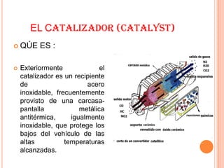 EL CATALIZADOR (CATALYST)
 QÚE     ES :

   Exteriormente              el
    catalizador es un recipiente
    de                    acero
    inoxidable, frecuentemente
    provisto de una carcasa-
    pantalla            metálica
    antitérmica,     igualmente
    inoxidable, que protege los
    bajos del vehículo de las
    altas          temperaturas
    alcanzadas.
 