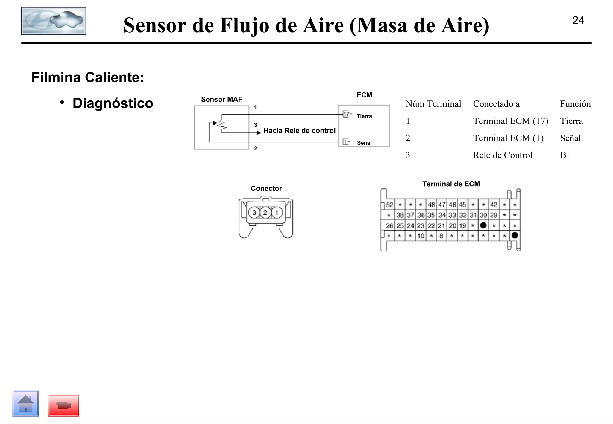 Sensor de Flujo de Aire (Masa de Aire)

24

Filmina Caliente:
• Diagnóstico

ECM

Sensor MAF
1

Tierra
3

Hacia Rele de control

2

Conector

Señal

Núm Terminal

Conectado a

Función

1

Terminal ECM (17)

Tierra

2

Terminal ECM (1)

Señal

3

Rele de Control

B+

Terminal de ECM

 