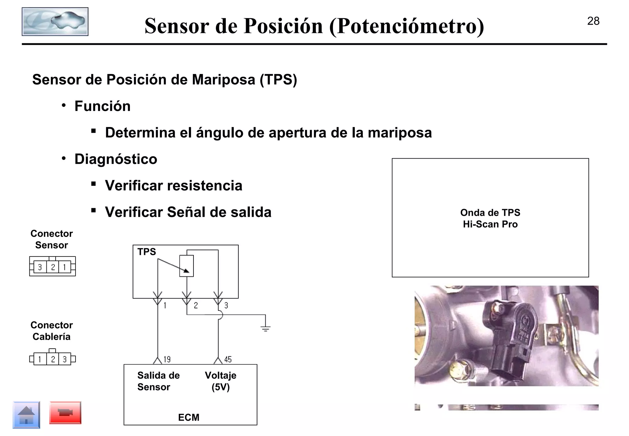 Sensor de Posición (Potenciómetro)
Sensor de Posición de Mariposa (TPS)
• Función
 Determina el ángulo de apertura de la mariposa
• Diagnóstico
 Verificar resistencia
 Verificar Señal de salida
Conector
Sensor

TPS

Conector
Cablería

Salida de
Sensor
ECM

Voltaje
(5V)

Onda de TPS
Hi-Scan Pro

28

 