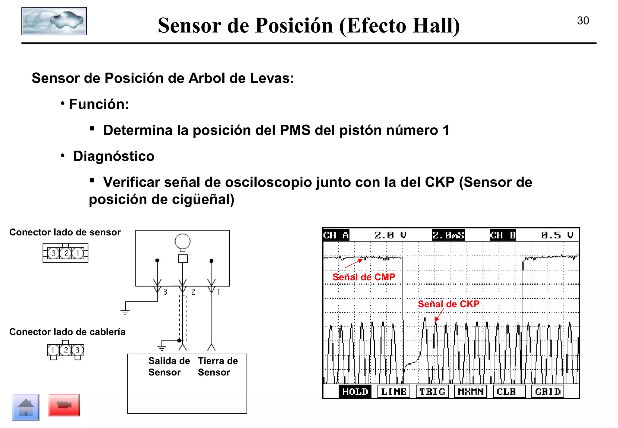 Sensor de Posición (Efecto Hall)
Sensor de Posición de Arbol de Levas:
• Función:
 Determina la posición del PMS del pistón número 1
• Diagnóstico
 Verificar señal de osciloscopio junto con la del CKP (Sensor de
posición de cigüeñal)
Conector lado de sensor

Señal de CMP
Señal de CKP
Conector lado de cablería
Salida de Tierra de
Sensor
Sensor

30

 