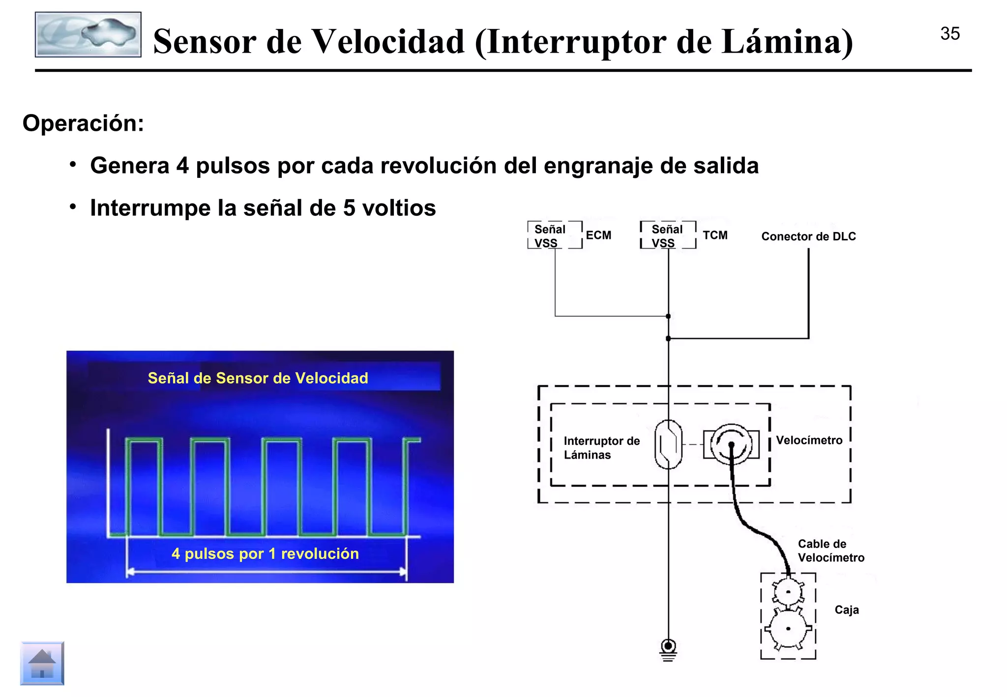 Sensor de Velocidad (Interruptor de Lámina)
Operación:
• Genera 4 pulsos por cada revolución del engranaje de salida
• Interrumpe la señal de 5 voltios
Señal
VSS

ECM

Señal
VSS

TCM

Conector de DLC

Señal de Sensor de Velocidad

Interruptor de
Láminas

4 pulsos por 1 revolución

Velocímetro

Cable de
Velocímetro

Caja

35

 