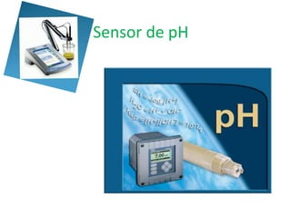 Sensor de pH
 