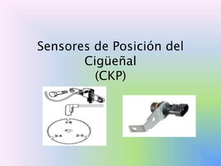 Sensores de Posición del
       Cigüeñal
         (CKP)
 