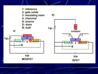 Sensor Quimico Sensores quimicos | PPT