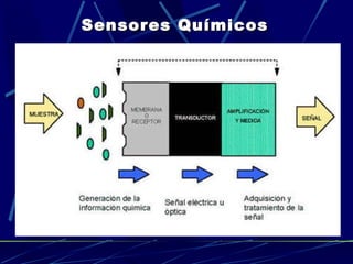 Sensor Quimico Sensores quimicos | PPT