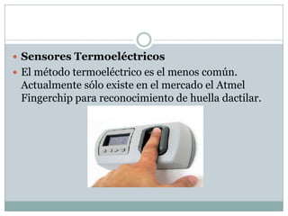  Sensores Termoeléctricos
 El método termoeléctrico es el menos común.
 Actualmente sólo existe en el mercado el Atmel
 Fingerchip para reconocimiento de huella dactilar.
 