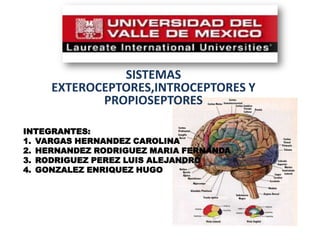 SISTEMAS
     EXTEROCEPTORES,INTROCEPTORES Y
            PROPIOSEPTORES

INTEGRANTES:
1. VARGAS HERNANDEZ CAROLINA
2. HERNANDEZ RODRIGUEZ MARIA FERNANDA
3. RODRIGUEZ PEREZ LUIS ALEJANDRO
4. GONZALEZ ENRIQUEZ HUGO
 