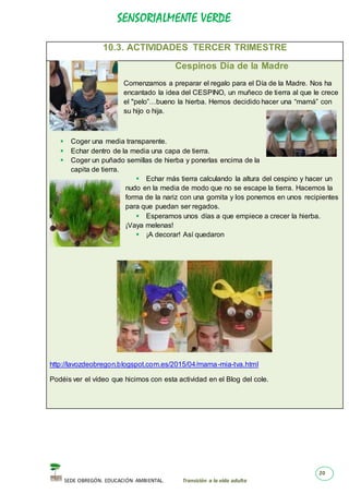 SENSORIALMENTE VERDE
SEDE OBREGÓN. EDUCACIÓN AMBIENTAL. Transición a la vida adulta
20
10.3. ACTIVIDADES TERCER TRIMESTRE
Cespinos Día de la Madre
Comenzamos a preparar el regalo para el Día de la Madre. Nos ha
encantado la idea del CESPINO, un muñeco de tierra al que le crece
el "pelo”…bueno la hierba. Hemos decidido hacer una “mamá” con
su hijo o hija.
 Coger una media transparente.
 Echar dentro de la media una capa de tierra.
 Coger un puñado semillas de hierba y ponerlas encima de la
capita de tierra.
 Echar más tierra calculando la altura del cespino y hacer un
nudo en la media de modo que no se escape la tierra. Hacemos la
forma de la nariz con una gomita y los ponemos en unos recipientes
para que puedan ser regados.
 Esperamos unos días a que empiece a crecer la hierba.
¡Vaya melenas!
 ¡A decorar! Así quedaron
http://lavozdeobregon.blogspot.com.es/2015/04/mama-mia-tva.html
Podéis ver el vídeo que hicimos con esta actividad en el Blog del cole.
 