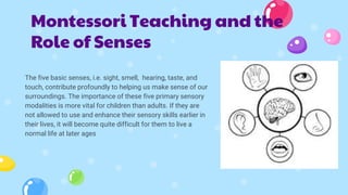 The five basic senses, i.e. sight, smell, hearing, taste, and
touch, contribute profoundly to helping us make sense of our
surroundings. The importance of these five primary sensory
modalities is more vital for children than adults. If they are
not allowed to use and enhance their sensory skills earlier in
their lives, it will become quite difficult for them to live a
normal life at later ages
Montessori Teaching and the
Role of Senses
 