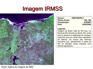 Sensor: IRM/CBERS-2  Órbita_Ponto: 148_106 Composição: R3G4B2 Data: 14/08/2004 Legenda: Imagem do Baixo Vale do Rio Açu, no litoral do Rio Grande do Norte. Em verde escuro aparece a vegetação de mangue, enquanto que em verde claro aparecem as salinas. As dunas são brancas enquanto que, lateralmente à calha do Rio se dispõem áreas irrigadas com intensa agricultura. Fonte: Galeria de imagens do INPE Imagem IRMSS 