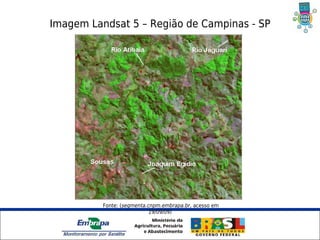 Imagem Landsat 5 – Região de Campinas - SP




            Fonte: (segmenta.cnpm.embrapa.br, acesso em
                              19/09/09)



     Unidade Síntese
 