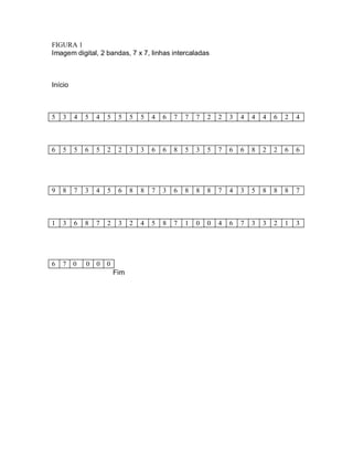 FIGURA 1 
Imagem digital, 2 bandas, 7 x 7, linhas intercaladas 
Início 
5 3 4 5 4 5 5 5 5 4 6 7 7 7 2 2 3 4 4 4 6 2 4 
6 5 5 6 5 2 2 3 3 6 6 8 5 3 5 7 6 6 8 2 2 6 6 
9 8 7 3 4 5 6 8 8 7 3 6 8 8 8 7 4 3 5 8 8 8 7 
1 3 6 8 7 2 3 2 4 5 8 7 1 0 0 4 6 7 3 3 2 1 3 
6 7 0 0 0 0 
Fim 
 