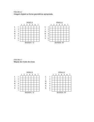 FIGURA 2 
Imagem digital na forma geométrica apropriada. 
PIXELS PIXELS 
1 2 3 4 5 6 7 1 2 3 4 5 6 7 
L 1 L 1 
I 2 I 2 
N 3 N 3 
H 4 H 4 
A 5 A 5 
S 6 S 6 
7 7 
BANDA ‘A’ BANDA ‘B’ 
FIGURA 3 
Mapas de níveis de cinza. 
PIXELS PIXELS 
1 2 3 4 5 6 7 1 2 3 4 5 6 7 
L 1 L 1 
I 2 I 2 
N 3 N 3 
H 4 H 4 
A 5 A 5 
S 6 S 6 
7 7 
BANDA ‘A’ BANDA ‘B’ 
 