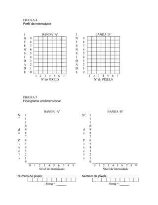 FIGURA 4 
Perfil de intensidade 
I BANDA ‘A’ I BANDA ‘B’ 
N 9 N 9 
T 8 T 8 
E 7 E 7 
N 6 N 6 
S 5 S 5 
I 4 I 4 
D 3 D 3 
A 2 A 2 
D 1 D 1 
E 0 E 0 
1 2 3 4 5 6 7 1 2 3 4 5 6 7 
No do PIXELS No do PIXELS 
FIGURA 5 
Histograma unidimensional 
BANDA ‘A’ BANDA ‘B’ 
No 
1 
1 
No 1 
1 
1 
0 
1 
0 
d 9 d 9 
e 8 e 8 
7 7 
P 6 P 6 
i 5 i 5 
x 4 x 4 
e 3 e 3 
l 2 l 2 
s 1 s 1 
0 0 
0 1 2 3 4 5 6 7 8 9 0 1 2 3 4 5 6 7 8 9 
Nível de intensidade Nível de intensidade 
Número de pixels: Número de pixels: 
Soma = Soma = 
 