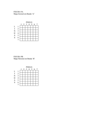 FIGURA 9A 
Mapa forestal em Banda ‘A’ 
PIXELS 
1 2 3 4 5 6 7 
L 1 
I 2 
N 3 
H 4 
A 5 
S 6 
7 
FIGURA 9B 
Mapa florestal em Banda ‘B’ 
PIXELS 
1 2 3 4 5 6 7 
L 1 
I 2 
N 3 
H 4 
A 5 
S 6 
7 
 