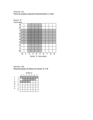 FIGURA 10A 
Parte do espaço espectral representando a ‘mata’ 
BandA ‘B’ 
Intensidade 
9 
8 
7 
6 
5 
4 
3 
2 
1 
0 
0 1 2 3 4 5 6 7 8 9 
Banda ‘A’ Intensidade 
FIGURA 10B 
Representação da Mata em banda ‘A’ e ‘B’ 
PIXELS 
1 2 3 4 5 6 7 
L 1 
I 2 
N 3 
H 4 
A 5 
S 6 
7 
 