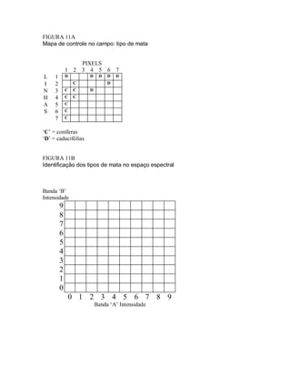 FIGURA 11A 
Mapa de controle no campo: tipo de mata 
PIXELS 
1 2 3 4 5 6 7 
L 1 D D D D D 
I 2 C D 
N 3 C C D 
H 4 C C 
A 5 C 
S 6 C 
7 C 
‘C’ = coníferas 
‘D’ = caducifólias 
FIGURA 11B 
Identificação dos tipos de mata no espaço espectral 
Banda ‘B’ 
Intensidade 
9 
8 
7 
6 
5 
4 
3 
2 
1 
0 
0 1 2 3 4 5 6 7 8 9 
Banda ‘A’ Intensidade 
 