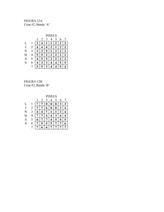 FIGURA 12A 
Cena #2, Banda ‘A’ 
PIXELS 
1 2 3 4 5 6 7 
L 1 3 4 1 1 2 2 2 
I 2 4 4 4 2 1 2 2 
N 3 3 3 5 2 2 2 2 
H 4 5 5 2 2 2 2 2 
A 5 4 5 5 2 2 2 2 
S 6 4 3 3 4 4 5 5 
7 5 5 3 4 4 5 4 
FIGURA 12B 
Cena #2, Banda ‘B’ 
PIXELS 
1 2 3 4 5 6 7 
L 1 7 7 0 0 0 3 3 
I 2 7 7 6 0 0 3 4 
N 3 4 4 7 1 1 3 4 
H 4 7 7 4 4 3 4 4 
A 5 6 7 7 4 5 5 5 
S 6 7 5 5 5 7 7 6 
7 7 6 6 7 7 7 7 
 