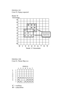 FIGURA 12C 
Cena #2, Espaço espectral 
Banda ‘B’ 
Intensidade 
9 
8 
7 D D D 
6 D D 
5 C D 
4 C C 
3 C C C 
2 
1 
0 
0 1 2 3 4 5 6 7 8 9 
Banda ‘A’ Intensidade 
FIGURA 12D 
Cena #2, Theme Map xxx 
PIXELS 
1 2 3 4 5 6 7 
L 1 
I 2 
N 3 
H 4 
A 5 D D D C C C C 
S 6 D D D D 
7 D D D D D D 
‘C’ = coníferas 
‘D’ = caducifólias 
Assinaturas 
Espectrais 
Rectangular 
 