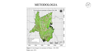 METODOLOGIA
Figura 3: Carta Imagem do município de Minaçu – GO, 2020
04
Fonte: autor, 2021.
 