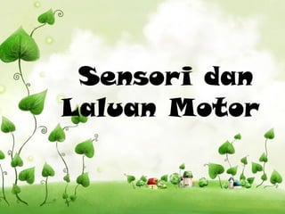 Sensori dan 
Laluan Motor 
 