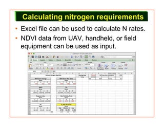Calculating nitrogen requirements
• Excel file can be used to calculate N rates.
• NDVI data from UAV, handheld, or field
equipment can be used as input.
 