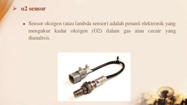 Automotive Sensor