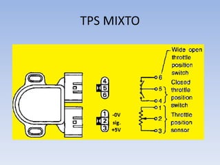 TPS MIXTO