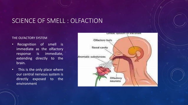 SENSORY-EVALUATION (1).pptx | Perfume and Fragrance | Beauty