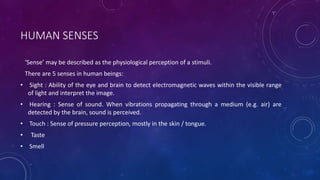 Human Perception Ranges SENSORY-EVALUATION (1).pptx