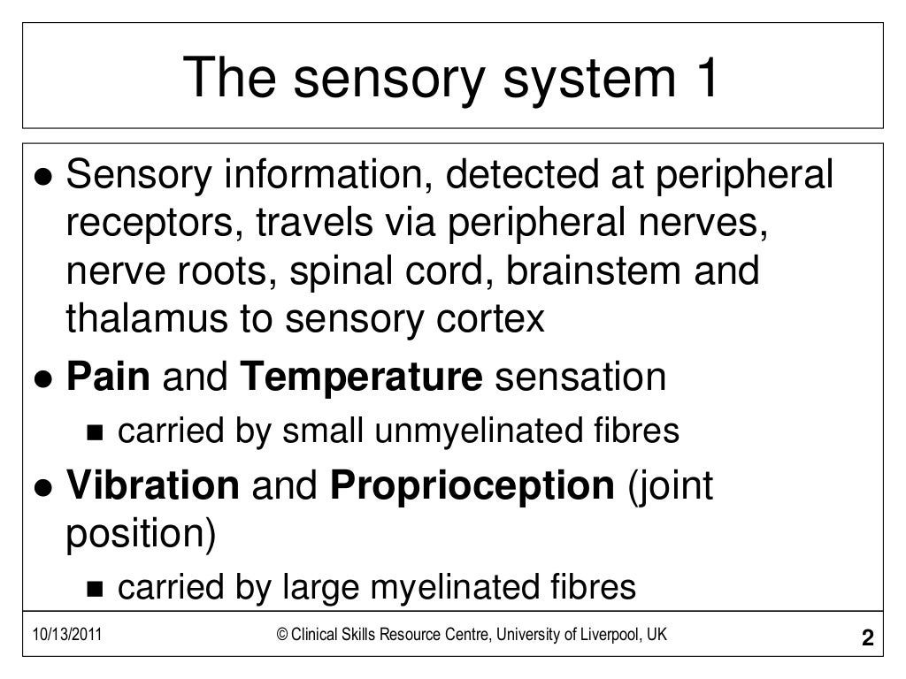 Sensory Examination