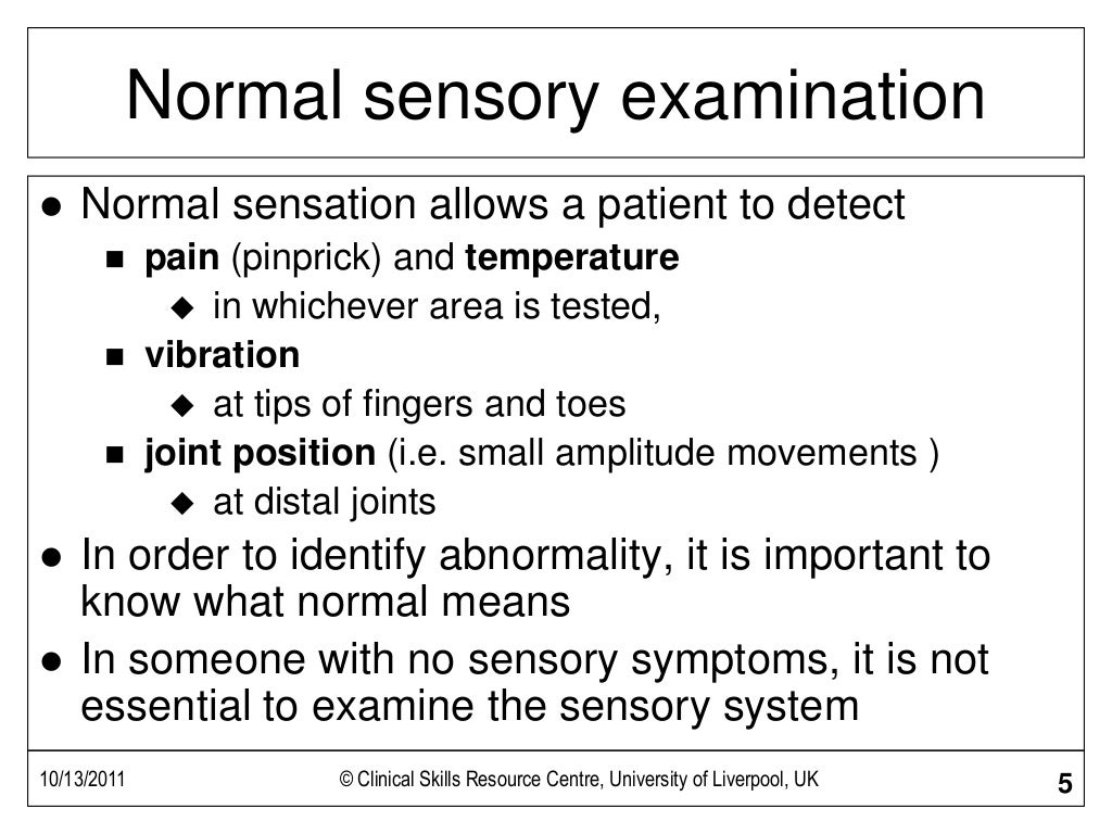 Sensory Examination