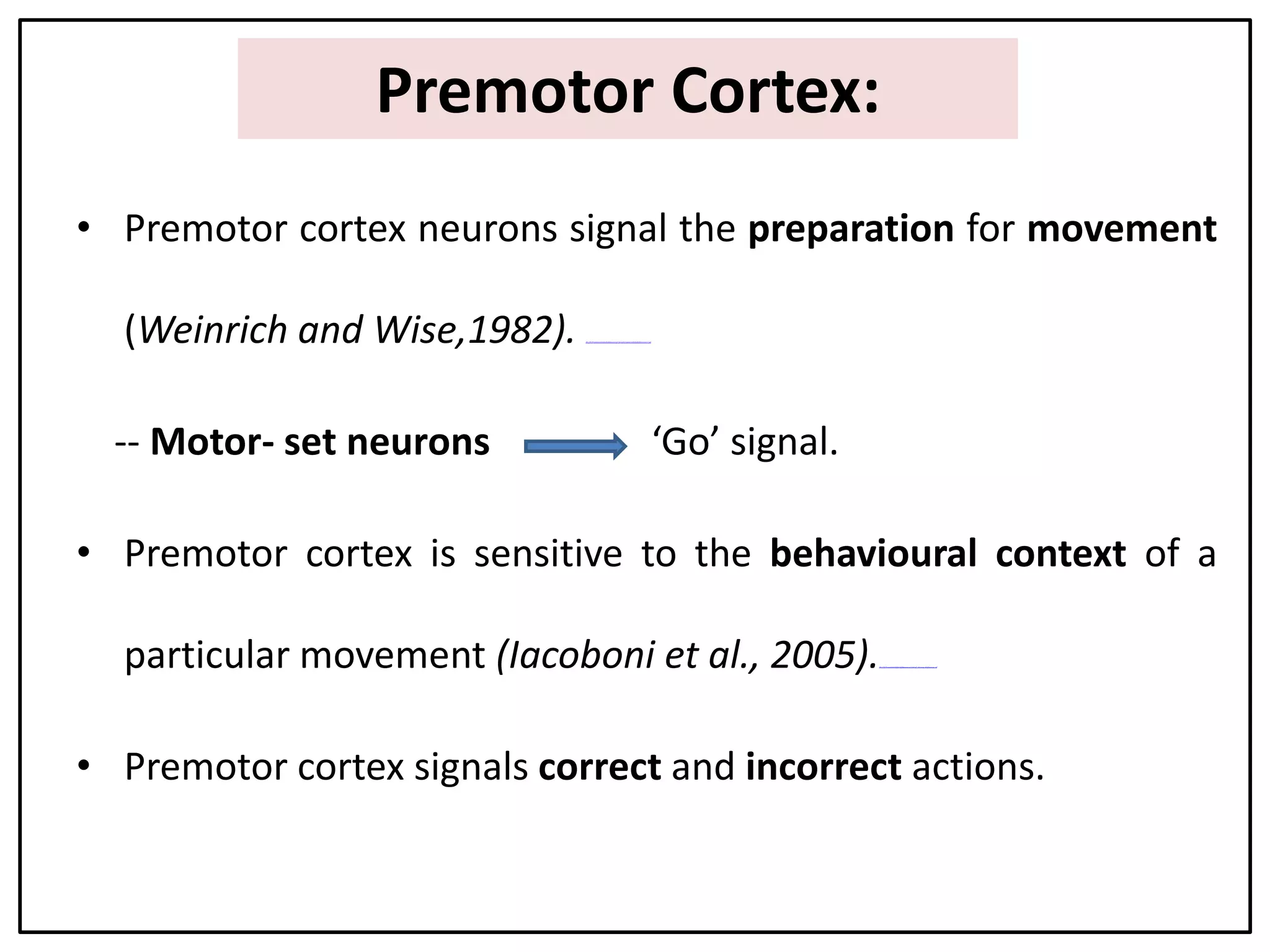 • Premotor cortex neurons signal the preparation for movement
(Weinrich and Wise,1982). file:///D:/Presentation%20on%20Movement/Videos/4.Pr eparation%20of%20movement.swf
-- Motor- set neurons ‘Go’ signal.
• Premotor cortex is sensitive to the behavioural context of a
particular movement (Iacoboni et al., 2005).file:///D:/Presentation%20on%20Movement/Videos/5..Behavior al%20context.swf
• Premotor cortex signals correct and incorrect actions.
Premotor Cortex:
 