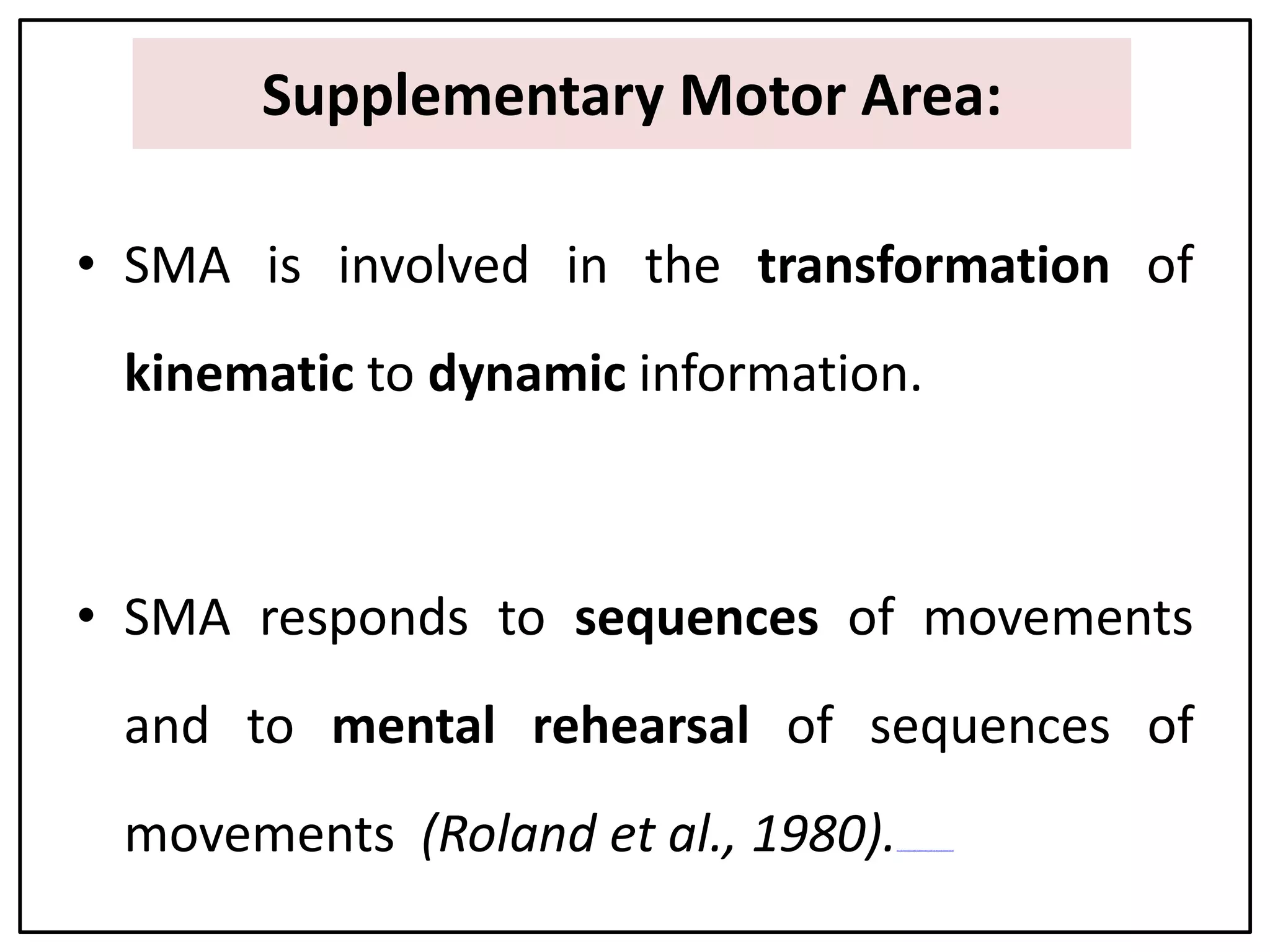 Supplementary Motor Area:
• SMA is involved in the transformation of
kinematic to dynamic information.
• SMA responds to sequences of movements
and to mental rehearsal of sequences of
movements (Roland et al., 1980).file:///D:/Presentation%20on%20Movement/Videos/6.Mental%20rehearsal.swf
 