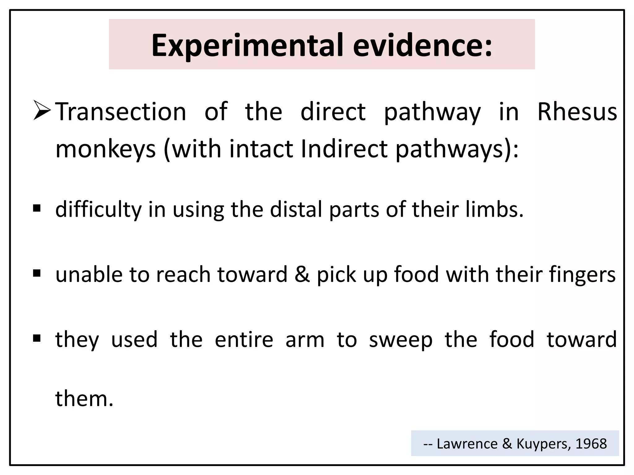 Experimental evidence:
Transection of the direct pathway in Rhesus
monkeys (with intact Indirect pathways):
 difficulty in using the distal parts of their limbs.
 unable to reach toward & pick up food with their fingers
 they used the entire arm to sweep the food toward
them.
-- Lawrence & Kuypers, 1968
 