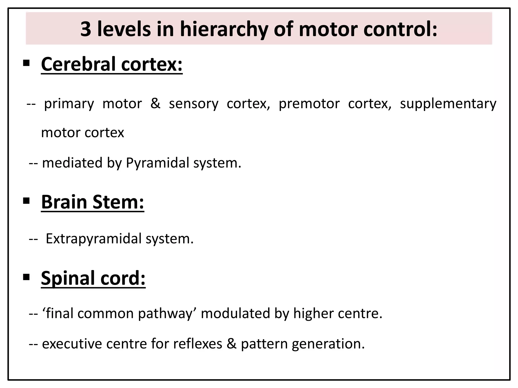 3 levels in hierarchy of motor control:
h Cerebral cortex:
-- primary motor & sensory cortex, premotor cortex, supplementary
motor cortex
-- mediated by Pyramidal system.
 Brain Stem:
-- Extrapyramidal system.
 Spinal cord:
-- ‘final common pathway’ modulated by higher centre.
-- executive centre for reflexes & pattern generation.
 