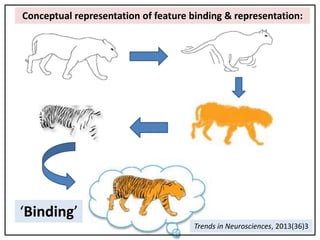 Sensory motor processing in planning and execution of movement | PPTX