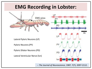 Sensory motor processing in planning and execution of movement | PPTX