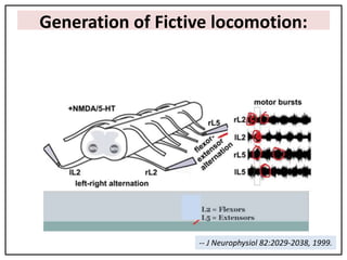 Sensory motor processing in planning and execution of movement | PPTX