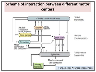 Sensory motor processing in planning and execution of movement | PPTX