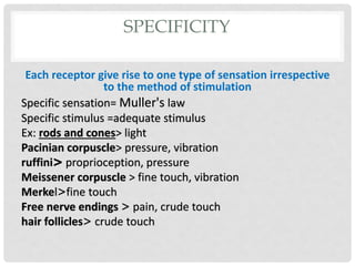 Sensory nervous system B Y D R . G E H A D K H A L E D | PDF