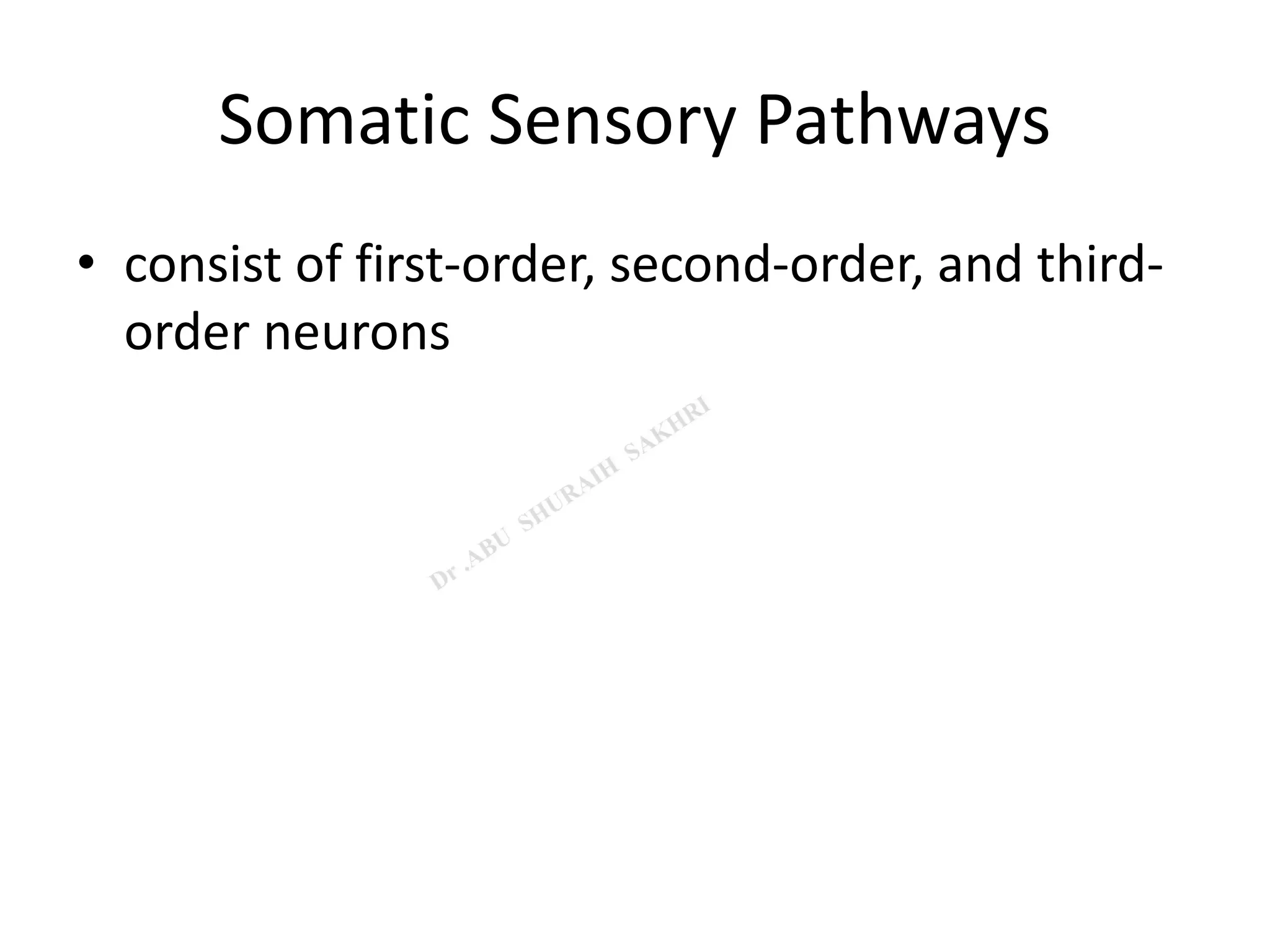 Sensory and motor pathways | PPT