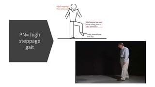 Sensory, coordination & gait Examination for Undergrad | PPTX