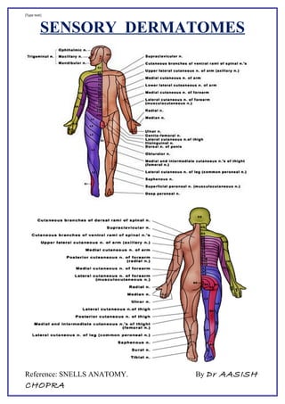 [Type text]
SENSORY DERMATOMES
Reference: SNELLS ANATOMY. By Dr AASISH
CHOPRA
 